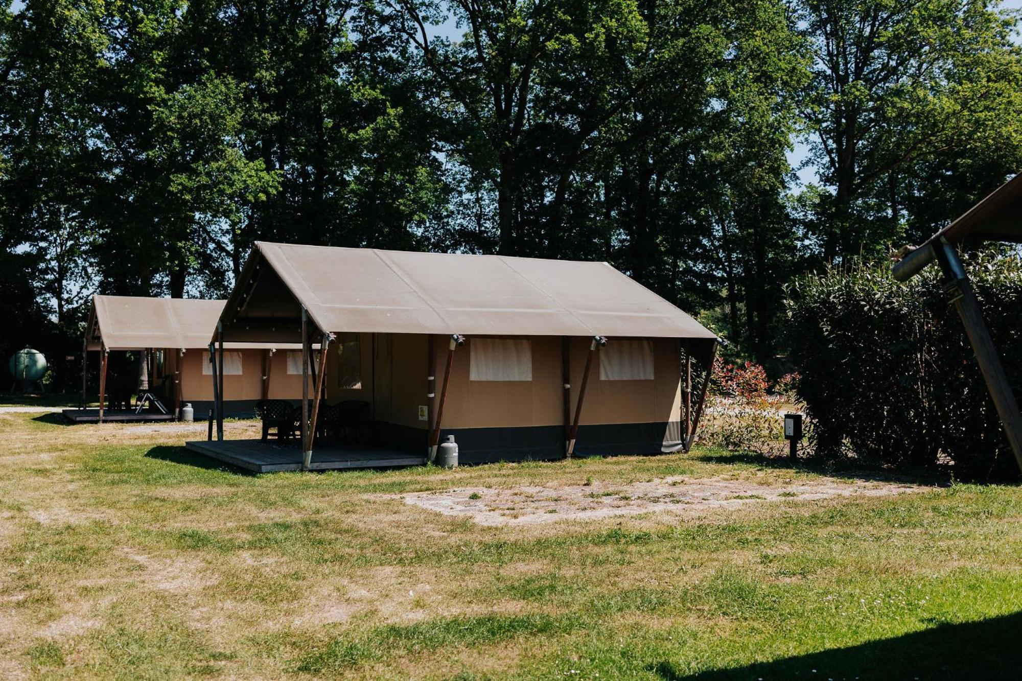 Luxe tent Safaritent Op En Kindvriendelijk Park Op De Veluwe